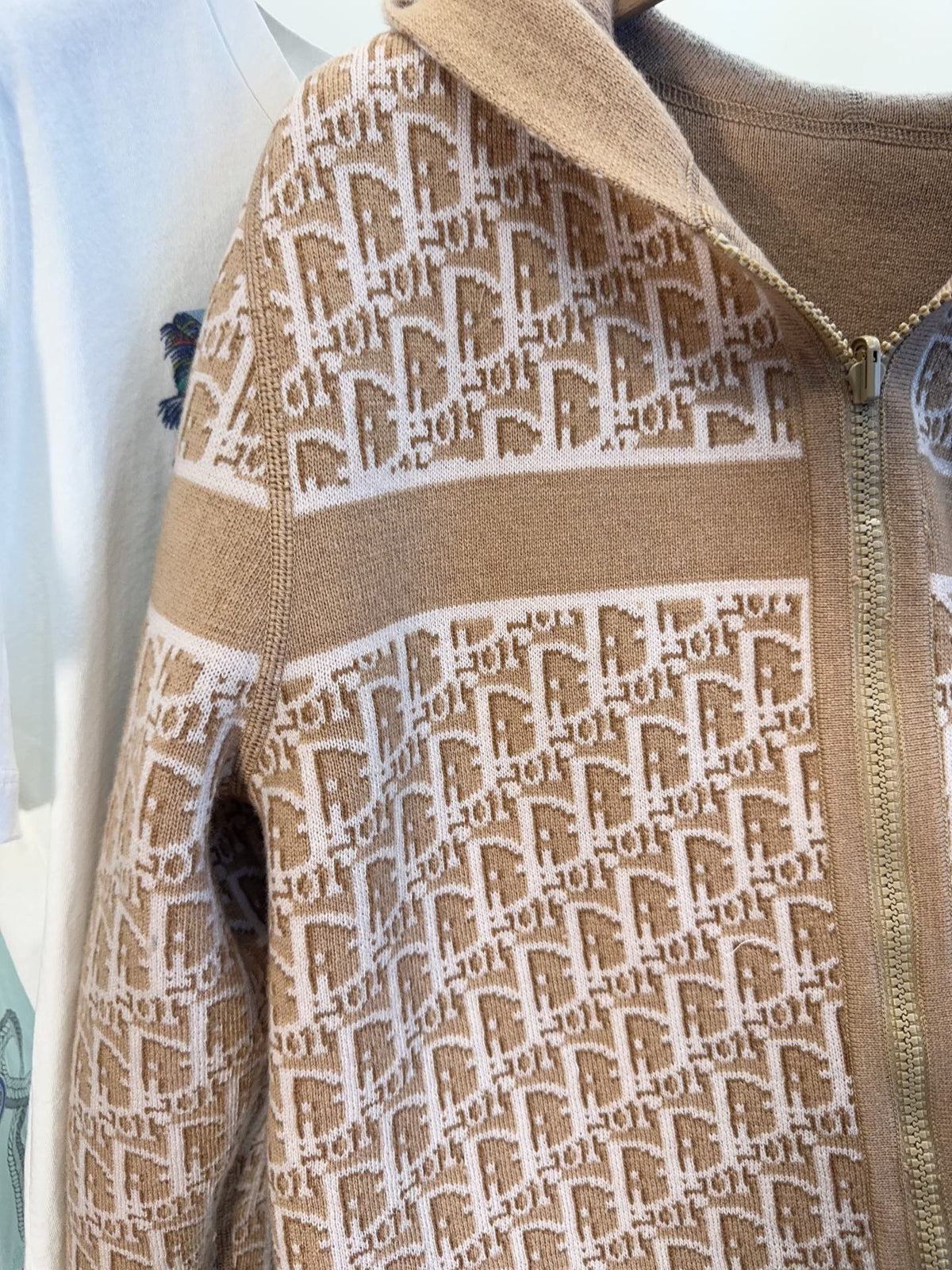 CD 25 Hooded Jacket Nude Beige 2 Sides Cashmere