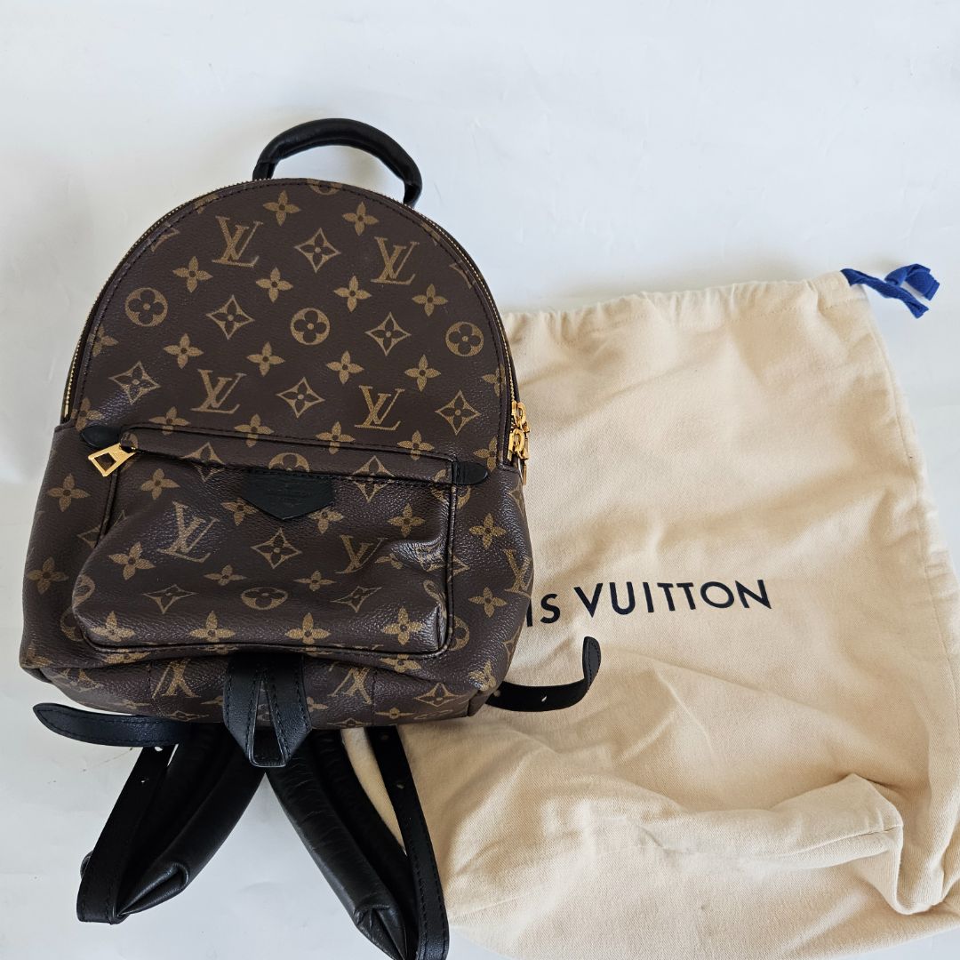 Louis Vuitton Monogram Palm Springs PM Backbag