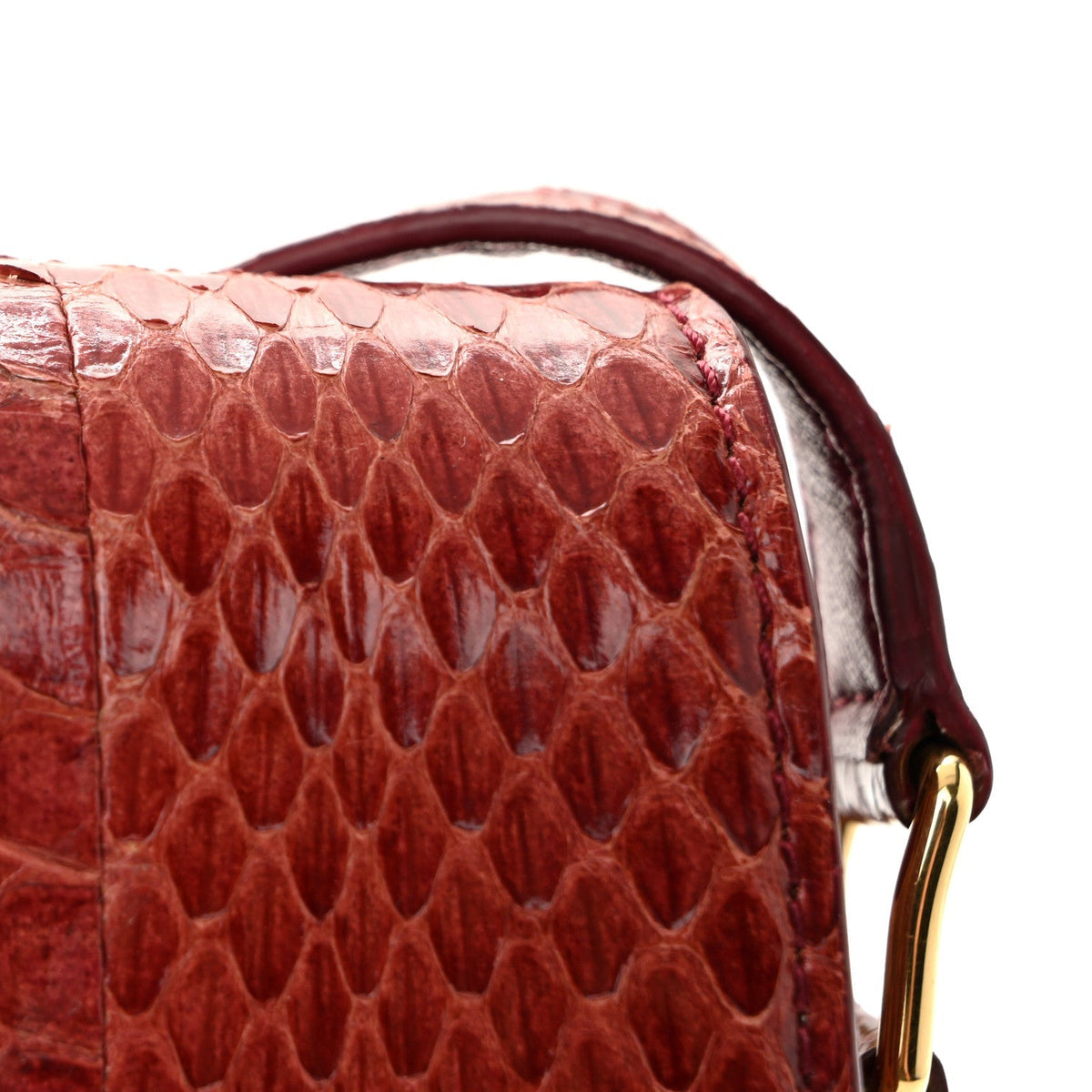Watersnake Teen Triomphe Ruby