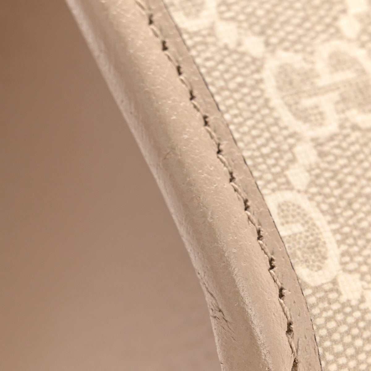 GG Supreme Monogram Textured Dollar Calfskin Small Retro Interlocking G Tote Bag Beige Mystic White Oatmeal