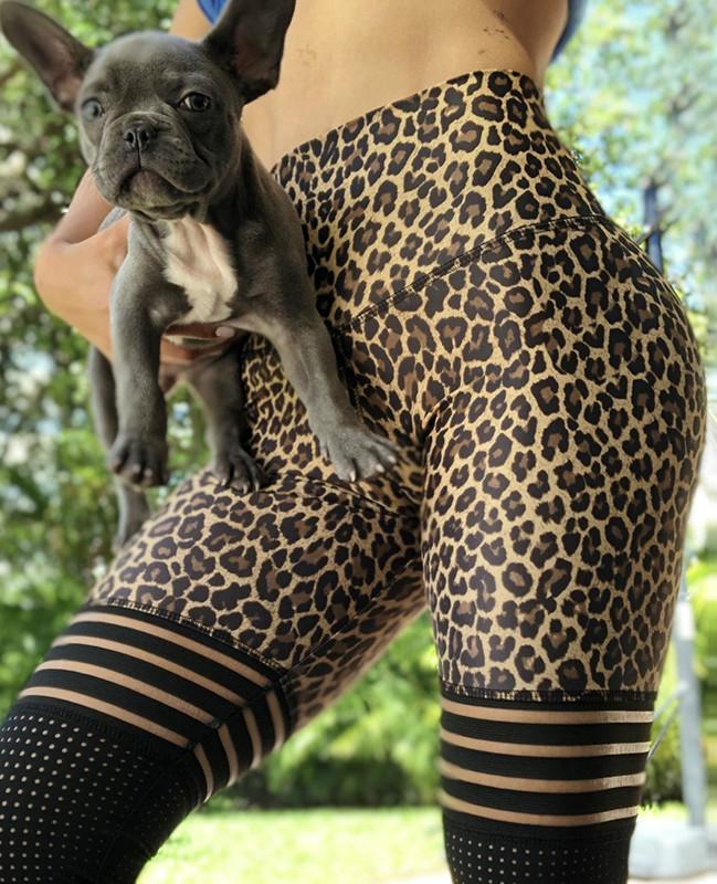 Spot Supply Cross-Border Amazon Explosions Leopard Texture Breathable Slim Yoga Pants Pants