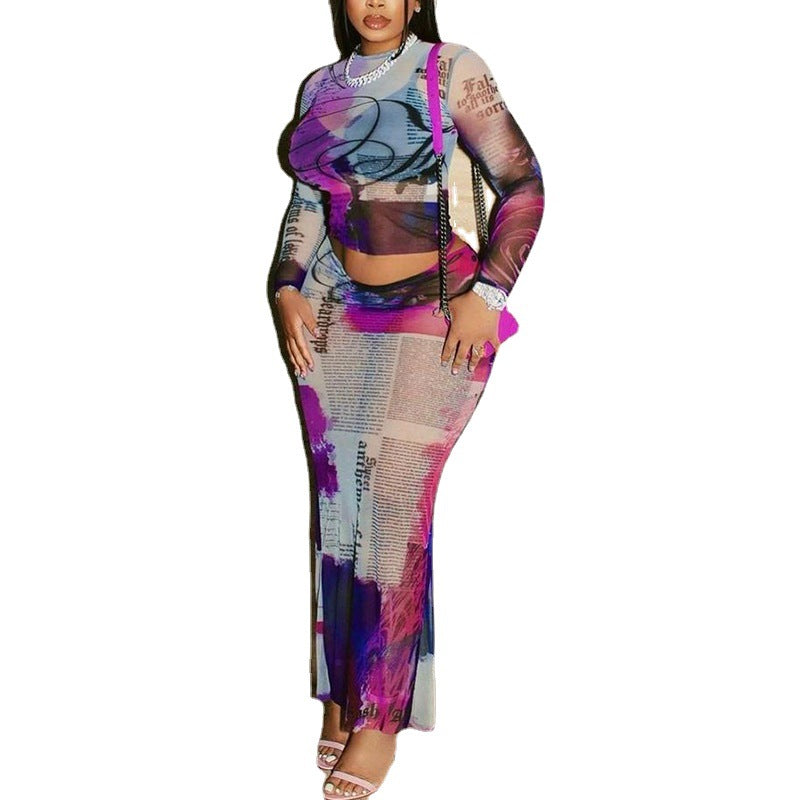 Sheer Mesh Two-Piece Set Long Sleeve Printed Top And Fitted Skirt