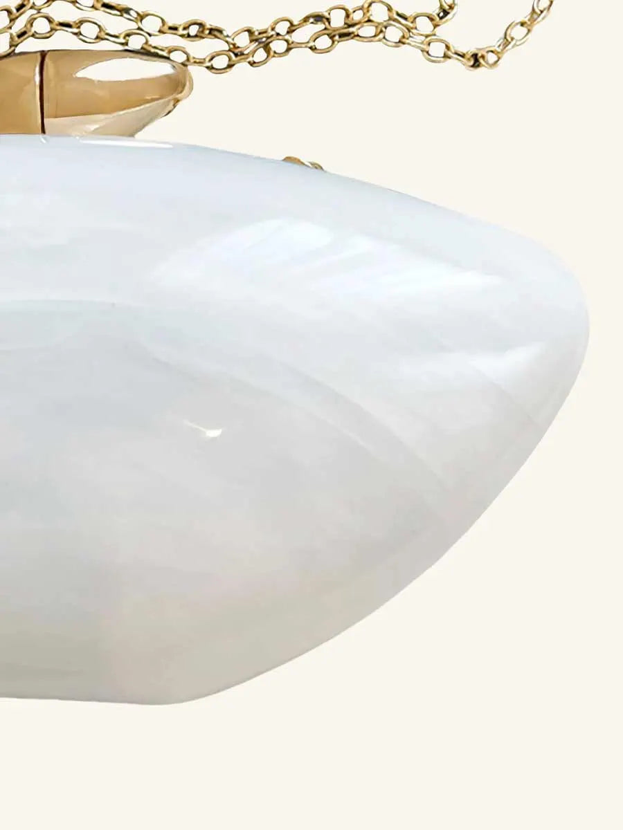 Darcy Oval Shaped Acrylic Clutch