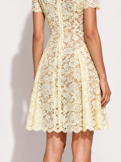 Skylar Collared Lace Mini Dress