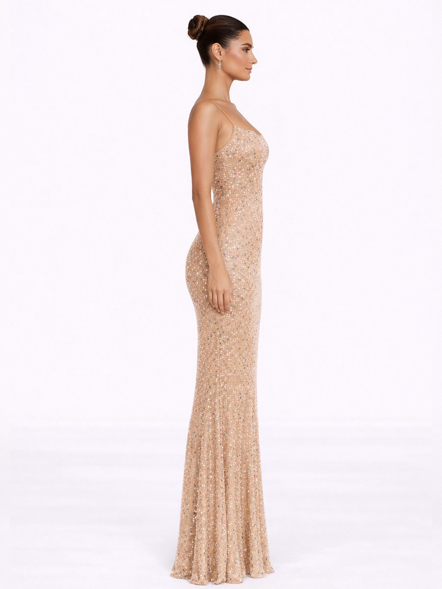 Alana Sheer Embellished Maxi Dress