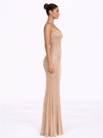 Alana Sheer Embellished Maxi Dress