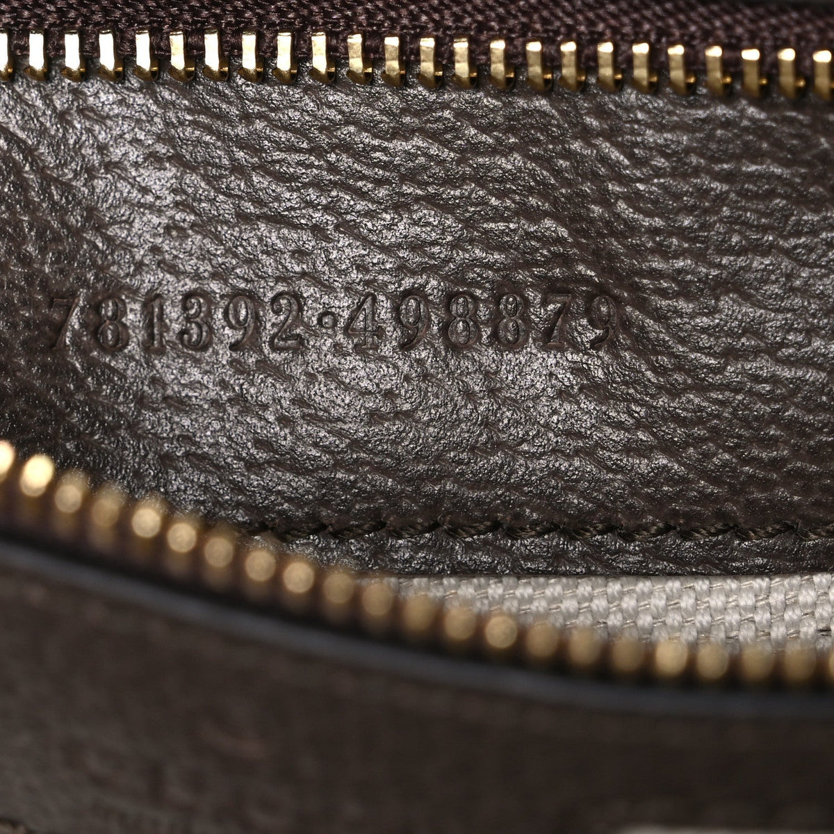 GG Supreme Monogram Textured Dollar Calfskin Web Large Ophidia Bucket Shoulder Bag Beige Ebony New Acero