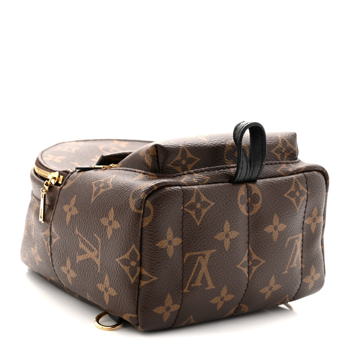 Monogram Palm Springs Backpack Mini