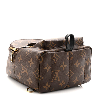 Monogram Palm Springs Backpack Mini