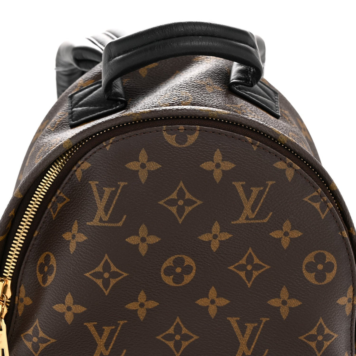 Monogram Palm Springs Backpack PM