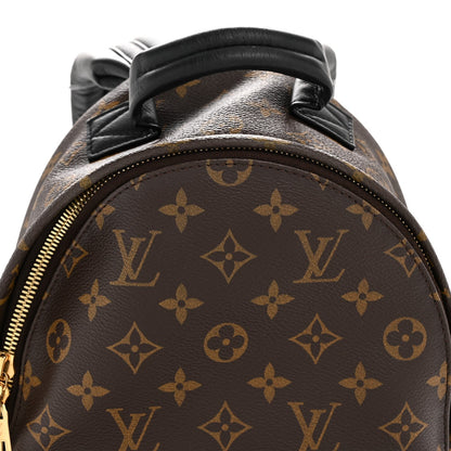 Monogram Palm Springs Backpack PM