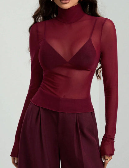 Mesh High Neck Long Sleeve Sheer Blouse