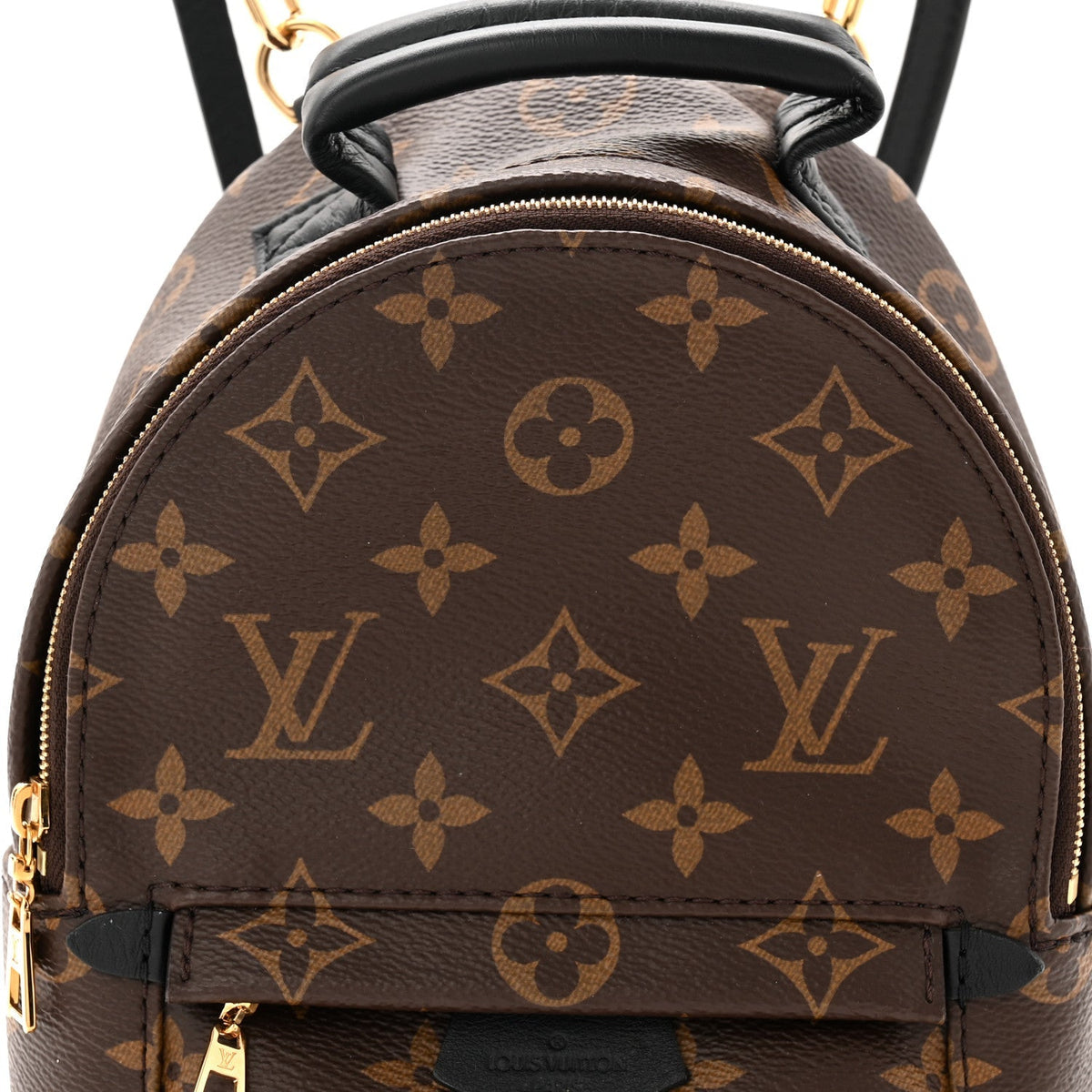 Monogram Palm Springs Backpack Mini