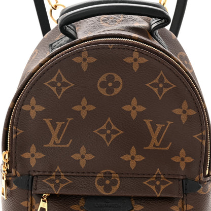 Monogram Palm Springs Backpack Mini
