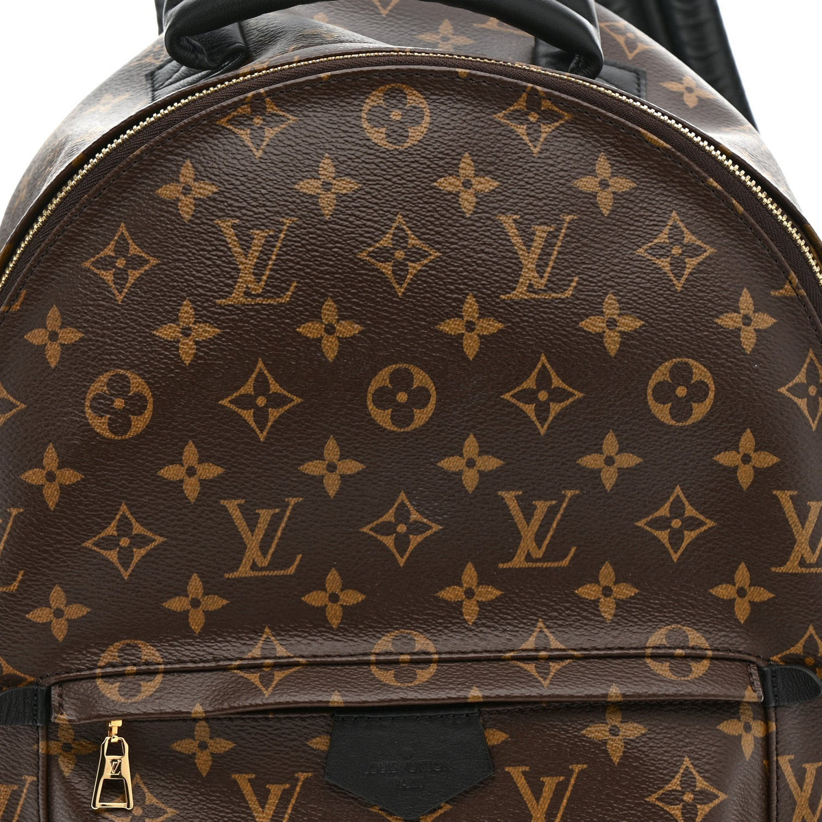 Monogram Palm Springs Backpack MM