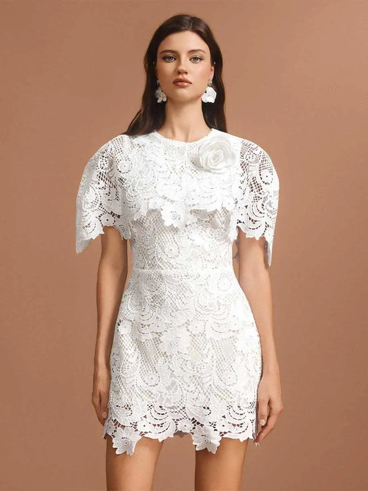 Arabella Round Neck Short Sleeves Lace Mini Dress