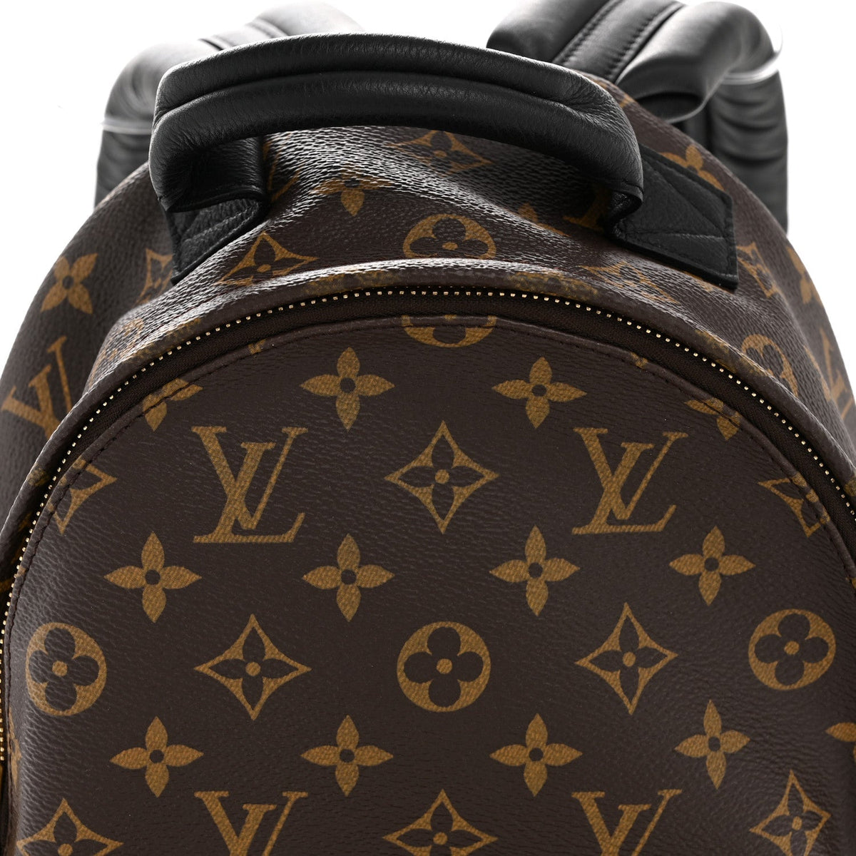 Monogram Palm Springs Backpack PM