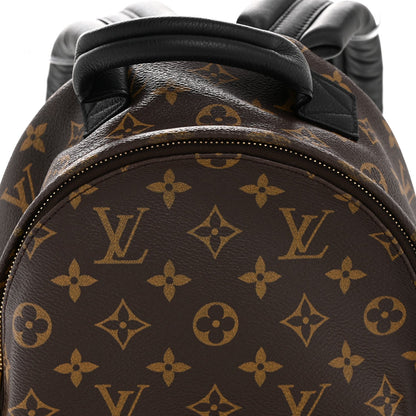 Monogram Palm Springs Backpack PM