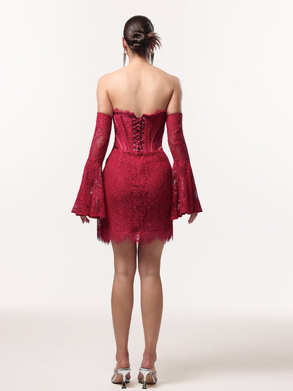 Liana Sexy Contour Lace Sleeve Corset Mini Dress