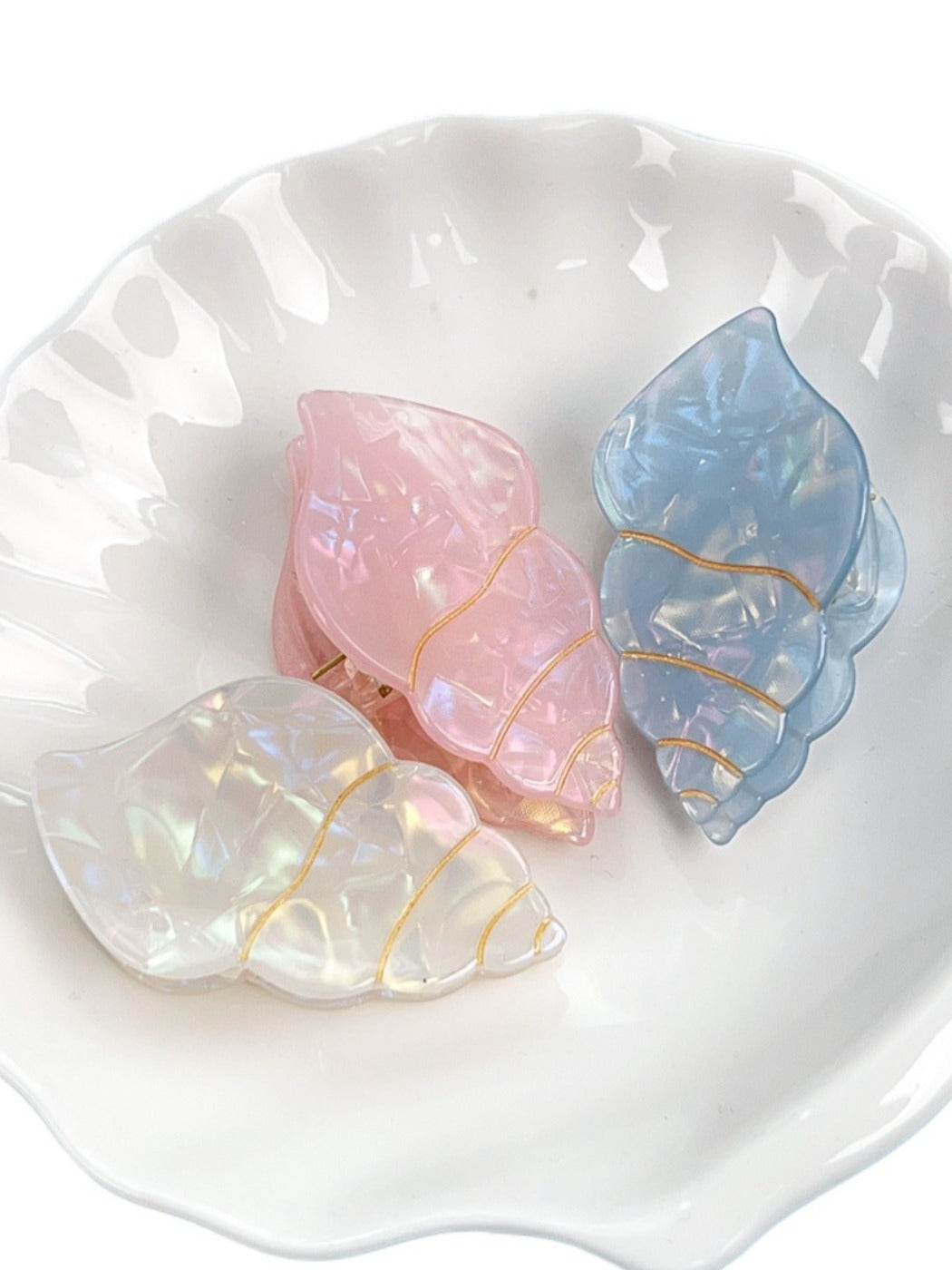 Clio - Acrylic Conch-Shaped Hair Clips - Sweet &amp; Cute