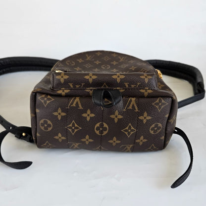 Louis Vuitton Monogram Palm Springs PM Backbag