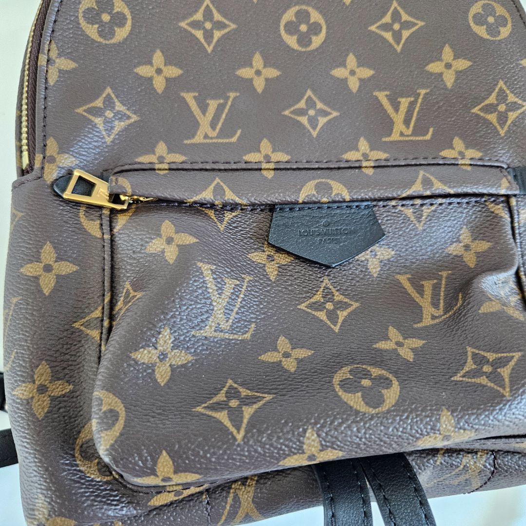 Louis Vuitton Monogram Palm Springs PM Backbag