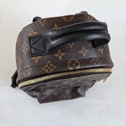 Louis Vuitton Monogram Palm Springs PM Backbag