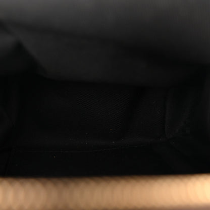 Monogram Palm Springs Backpack Mini