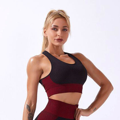 Gym Seamless Shark Seamless Sports Fitness Yoga Suit