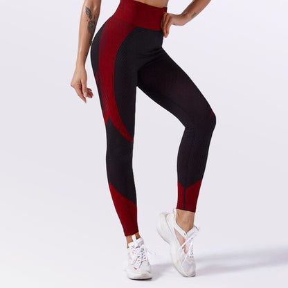 Gym Seamless Shark Seamless Sports Fitness Yoga Suit