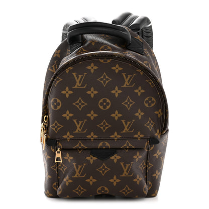 Monogram Palm Springs Backpack PM