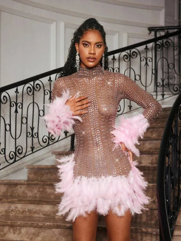 Braylene Rhinestone Feather Trimmed Mini Dress