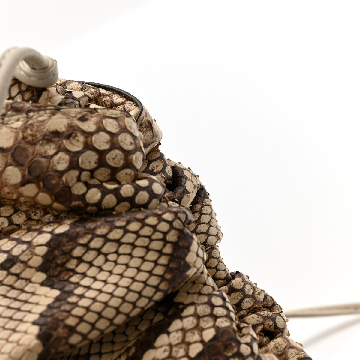 Snakeskin The Mini Pouch Brown