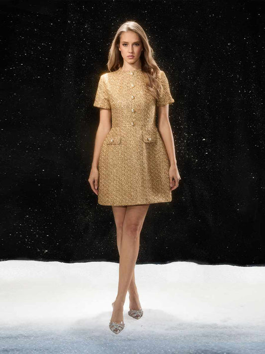 Maia Short Sleeve Tweed Mini Dress