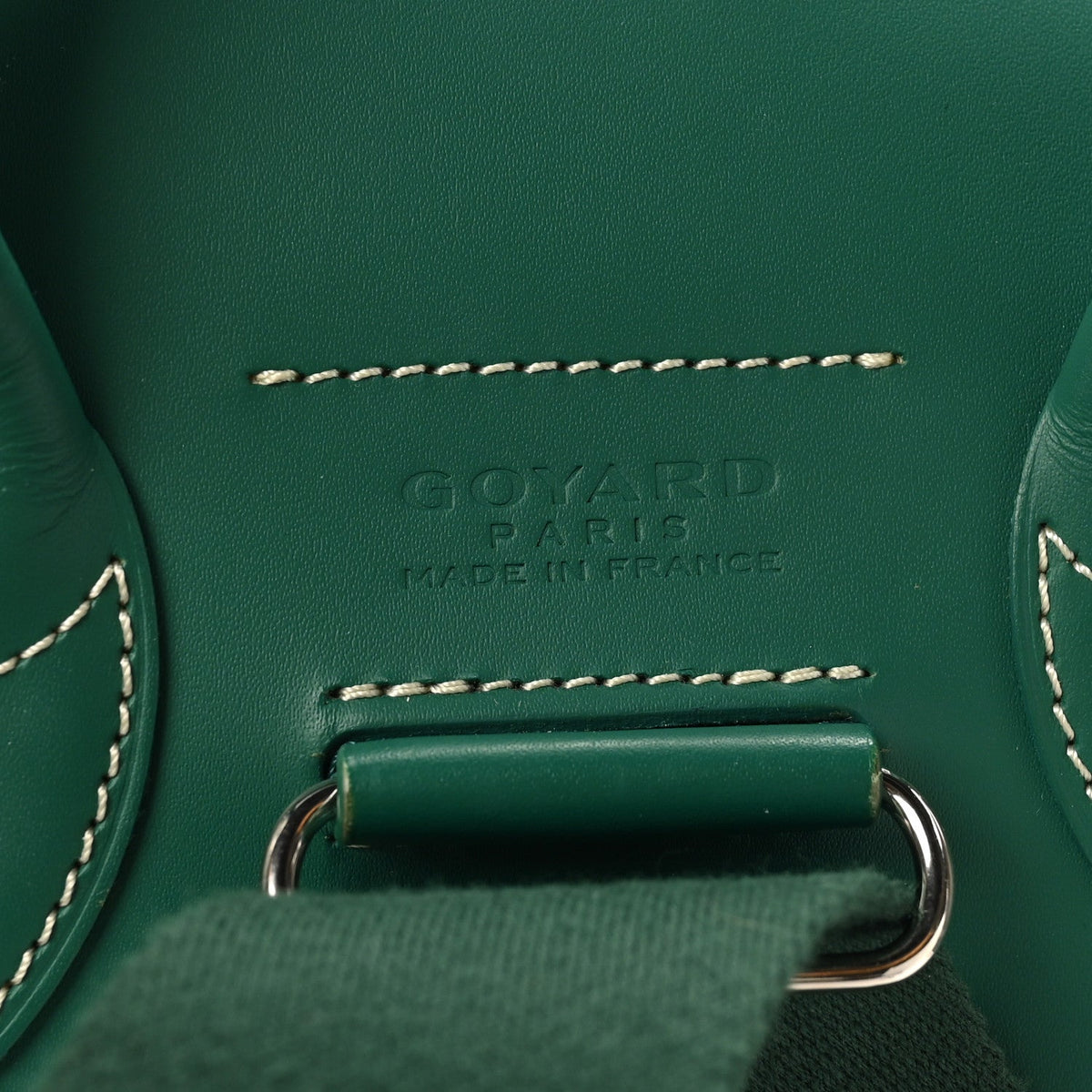 Goyardine Calfskin Alpin MM Backpack Green