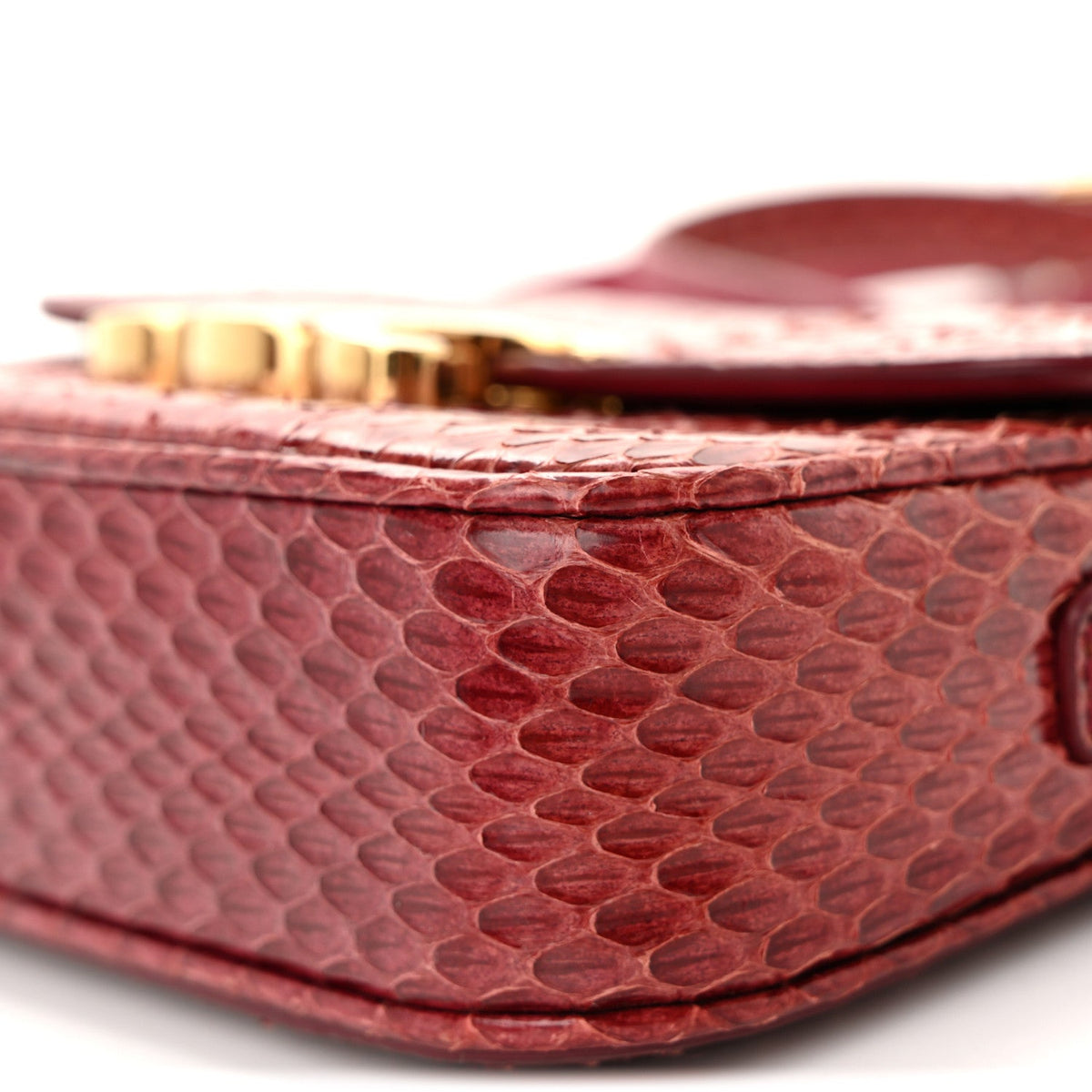 Watersnake Teen Triomphe Ruby