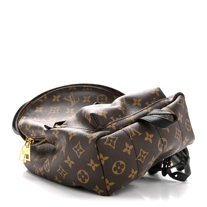 Monogram Palm Springs Backpack PM