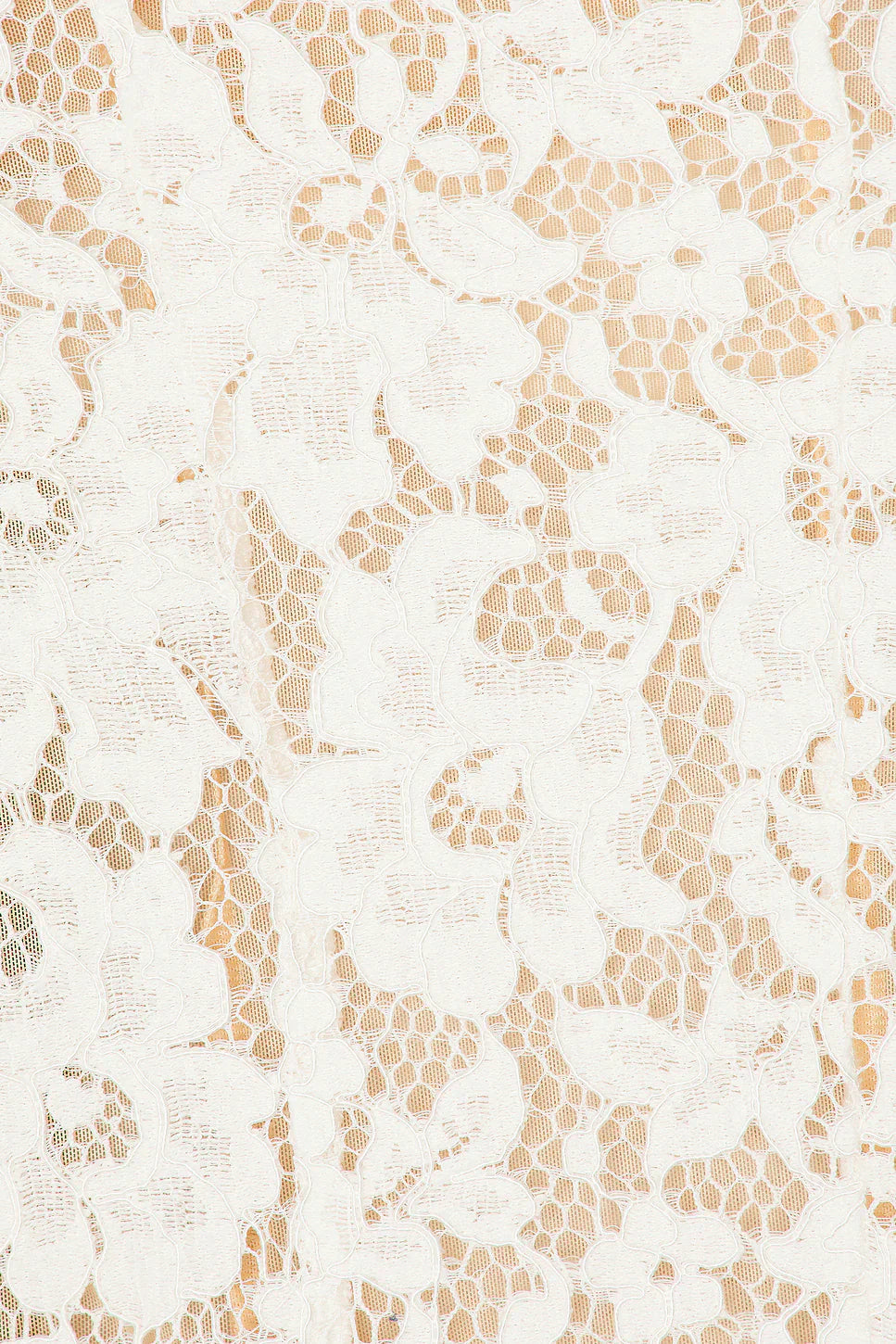 Sophia Lace Mini Dress