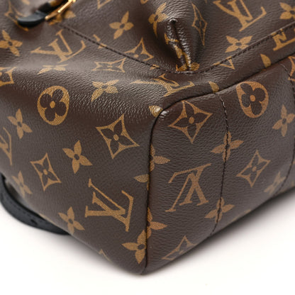 Monogram Palm Springs Backpack MM