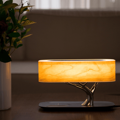 Light Of Life (Wireless Charging & Bluetooth Speaker)