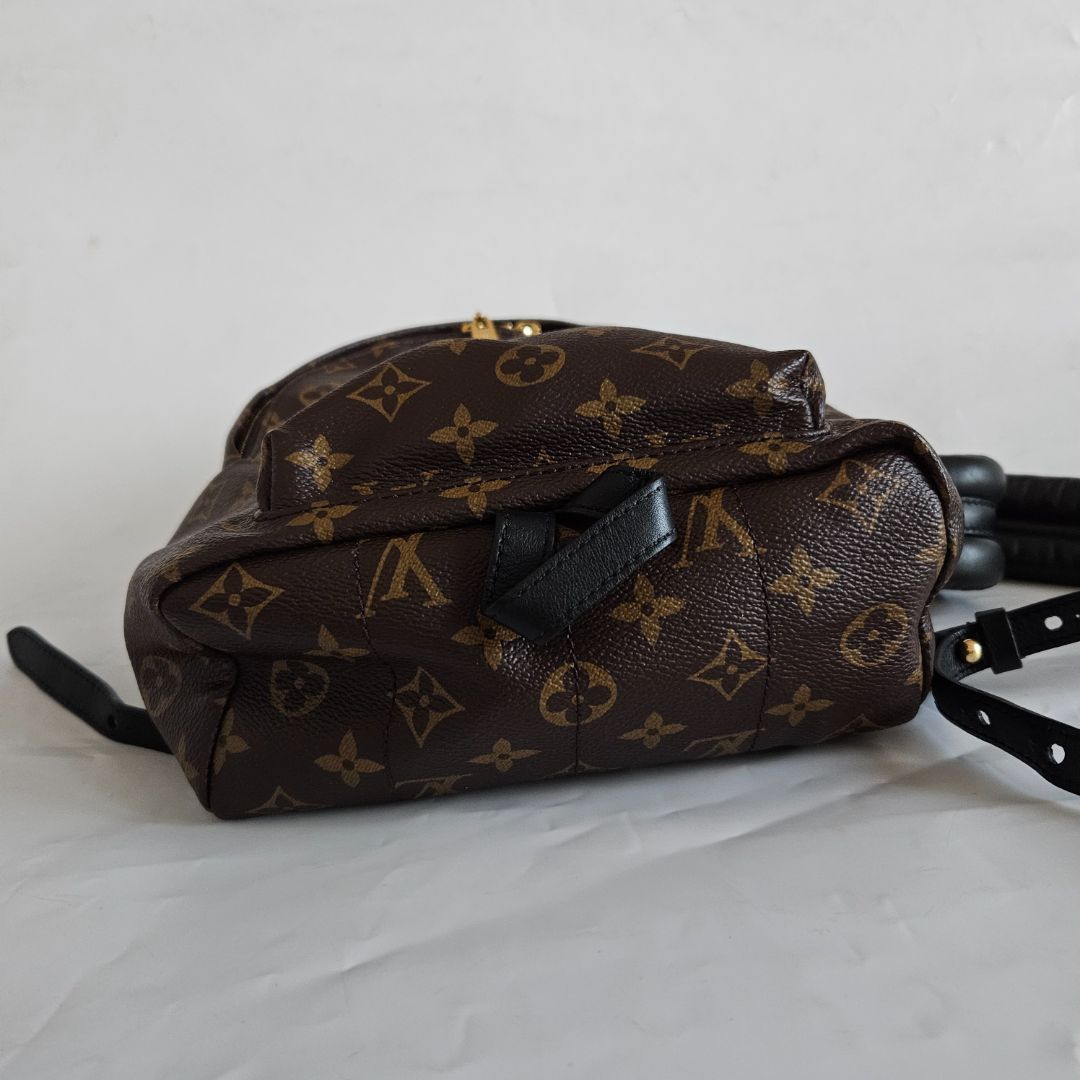 Louis Vuitton Monogram Palm Spring PM Backbag
