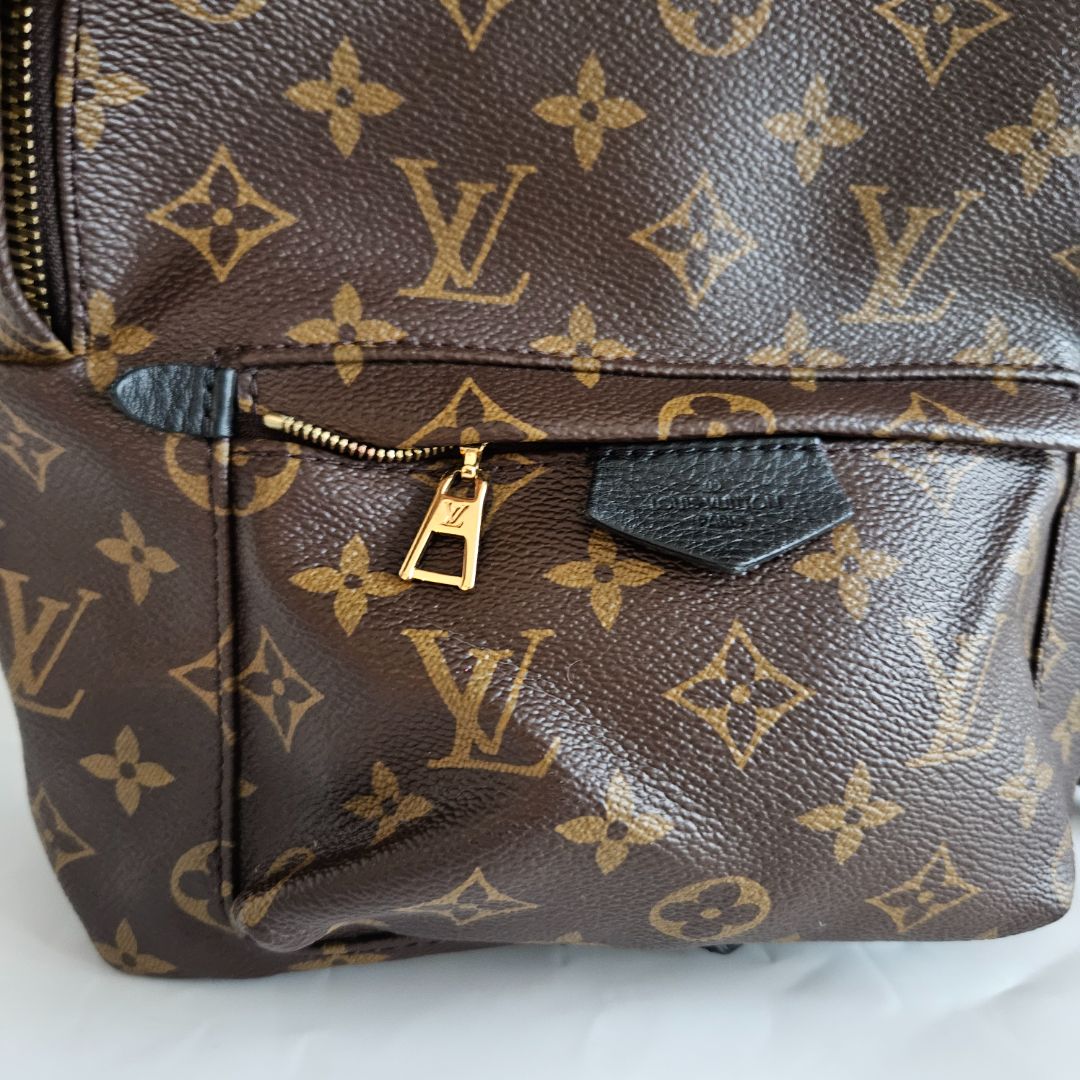 Louis Vuitton Monogram Palm Spring PM Backbag