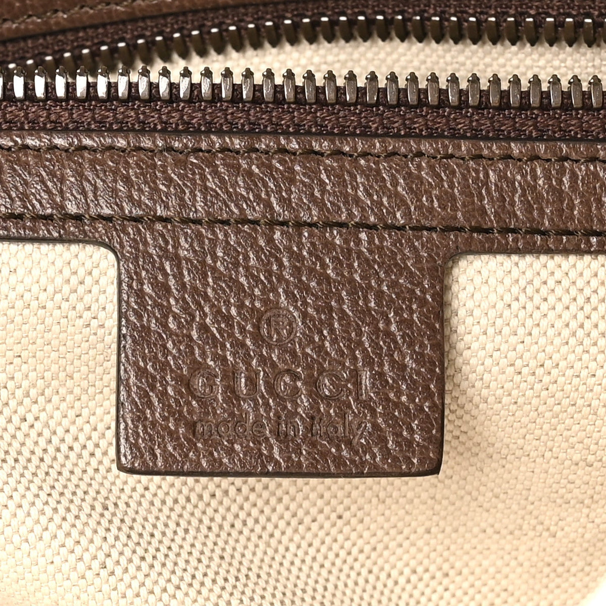 GG Supreme Monogram Web Small Ophidia Half Moon Hobo Brown