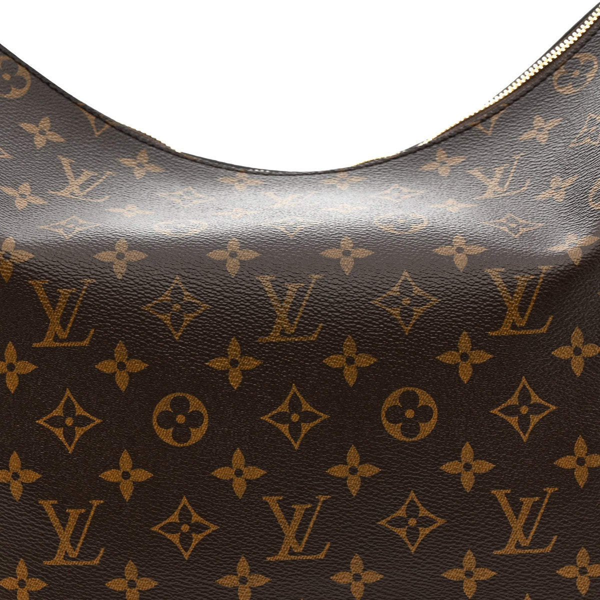 Monogram Slouchy MM