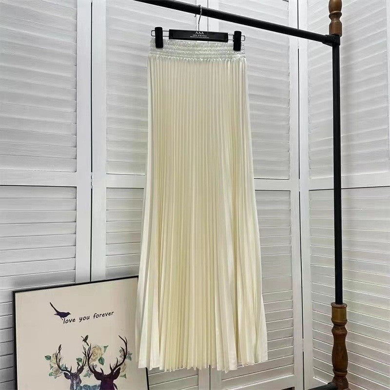 Long Accordion Pleated Skirt