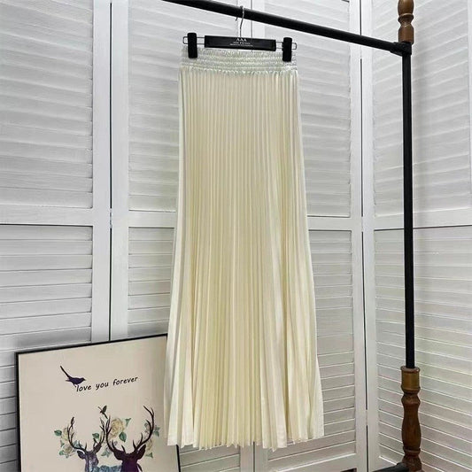 Long Accordion Pleated Skirt
