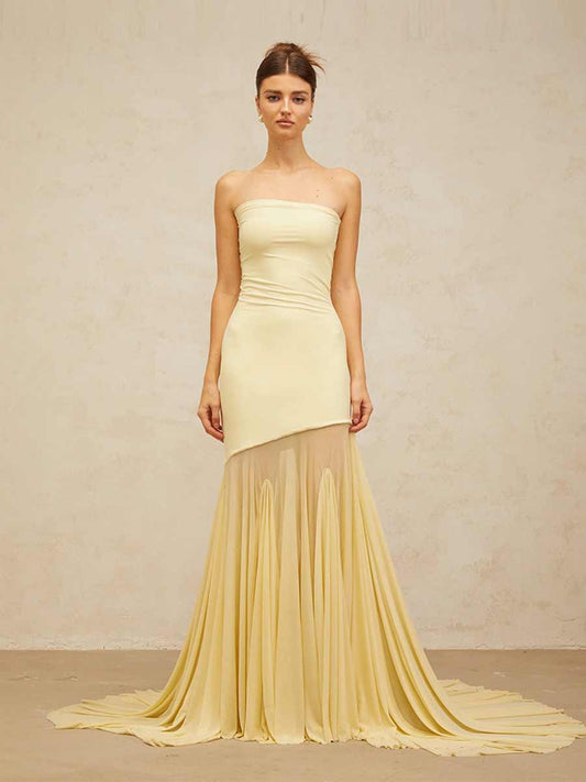 Gracelyn Ice Silk Mesh Strapless Maxi Dress