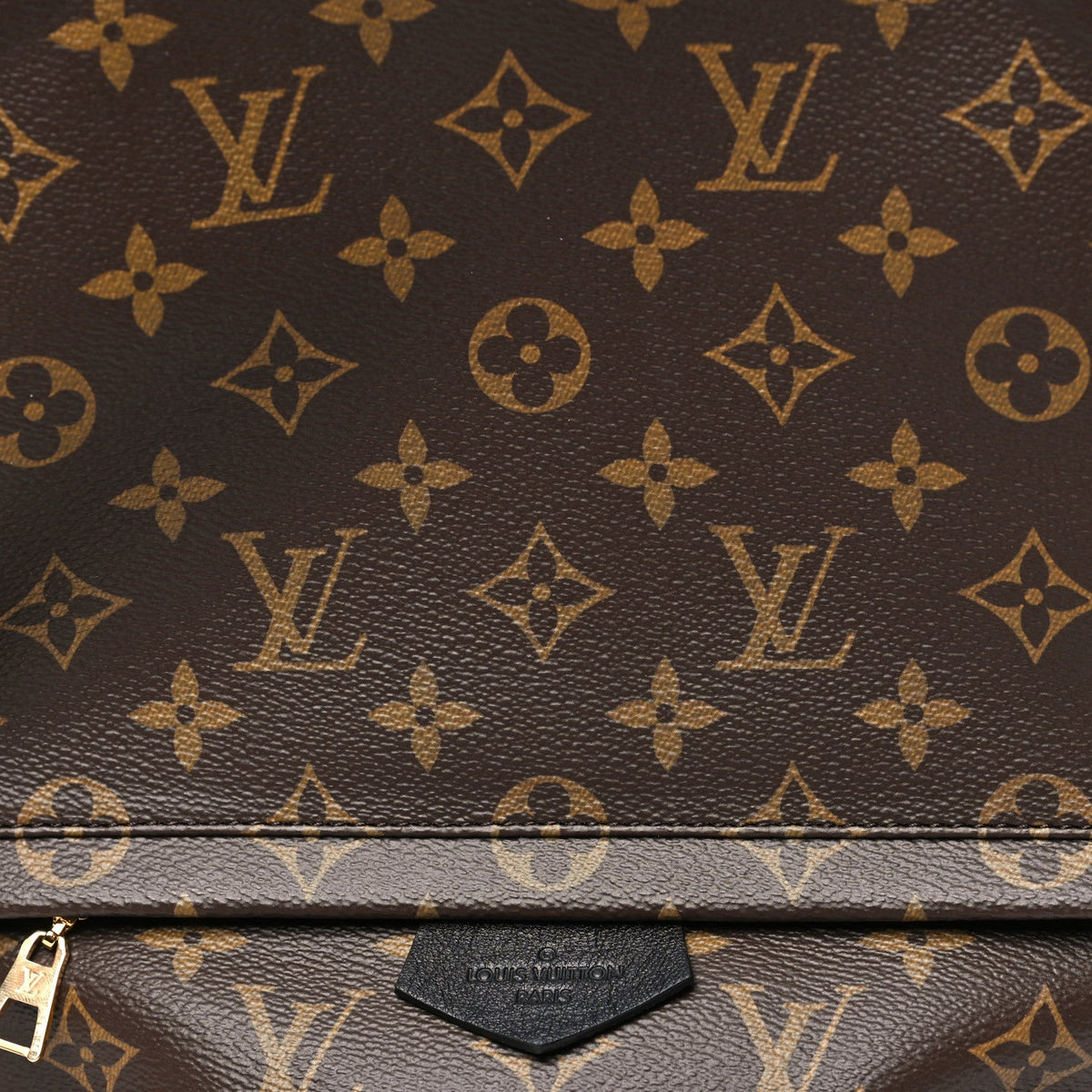 Monogram Palm Springs Backpack MM