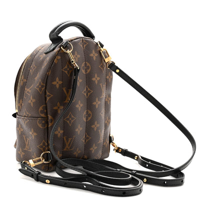 Monogram Palm Springs Backpack Mini