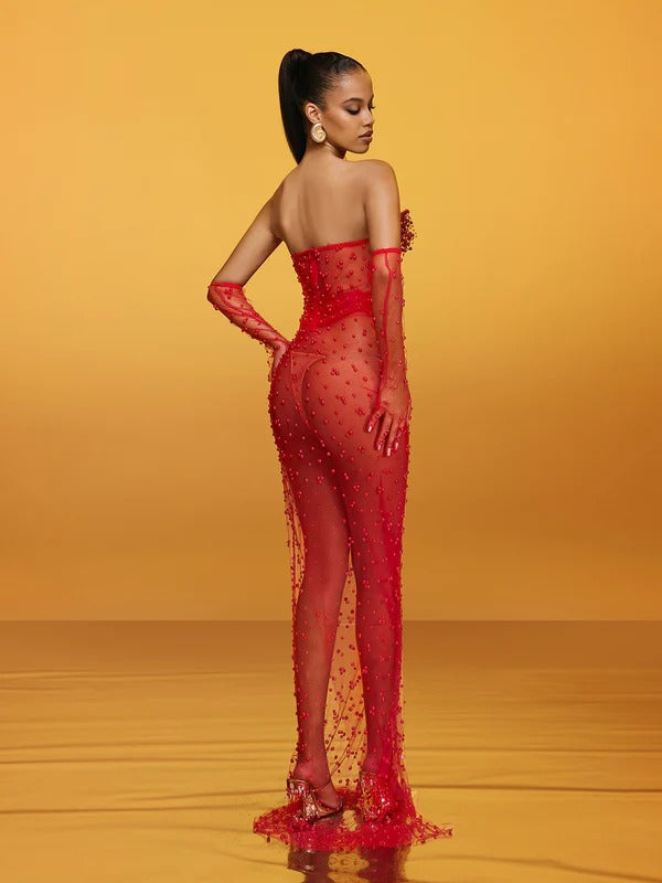 Asterra Strapless Pearl Mesh Maxi Dress